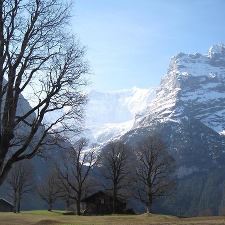 Superior Apartment 100M2 Bodmisonne - Grindelwald Exteriér fotografie