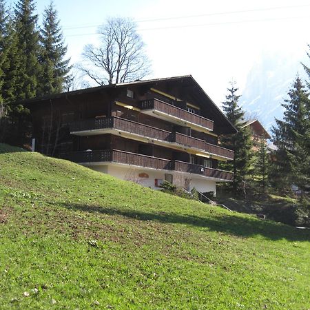 Superior Apartment 100M2 Bodmisonne - Grindelwald Exteriér fotografie
