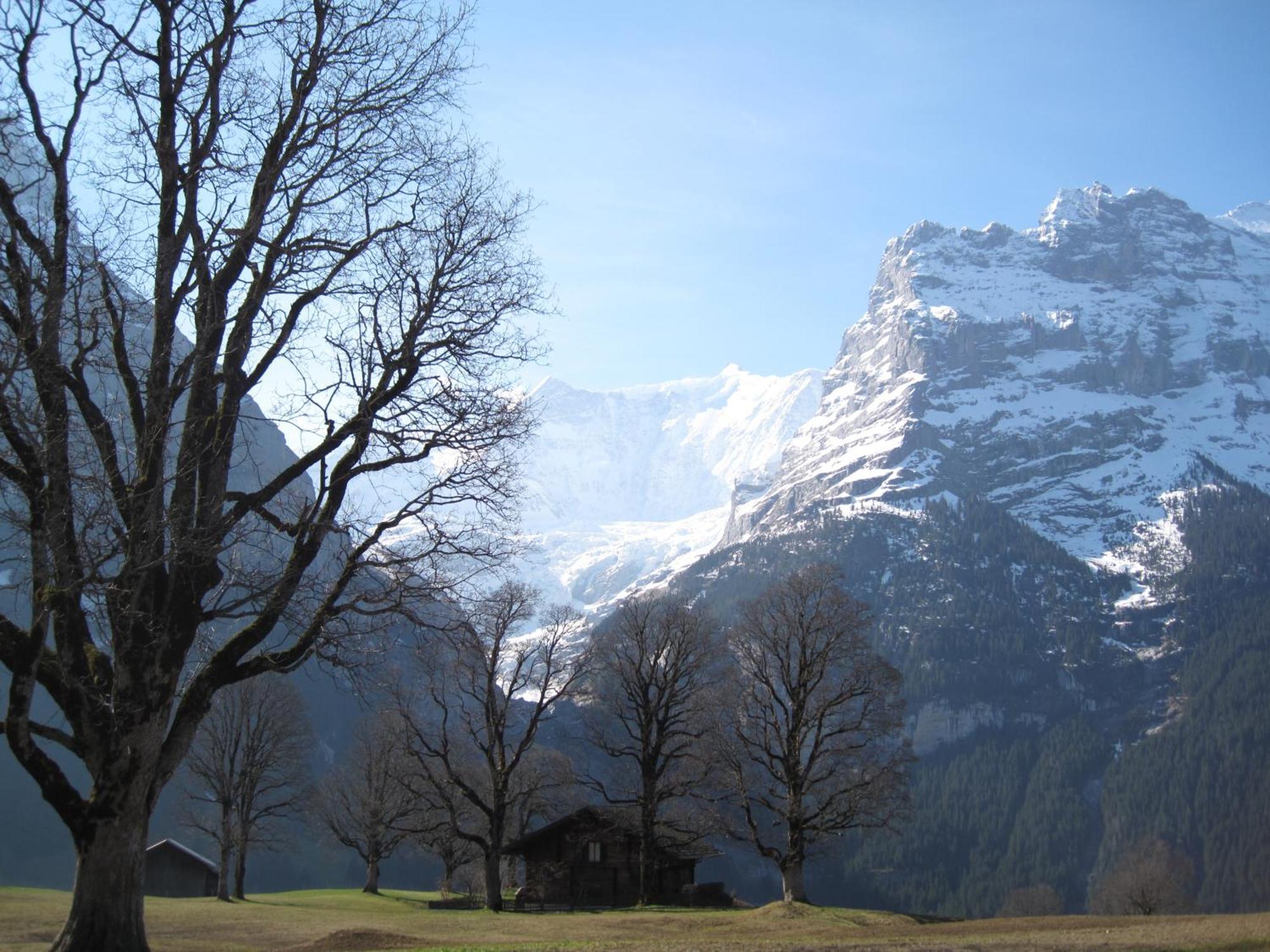 Superior Apartment 100M2 Bodmisonne - Grindelwald Exteriér fotografie