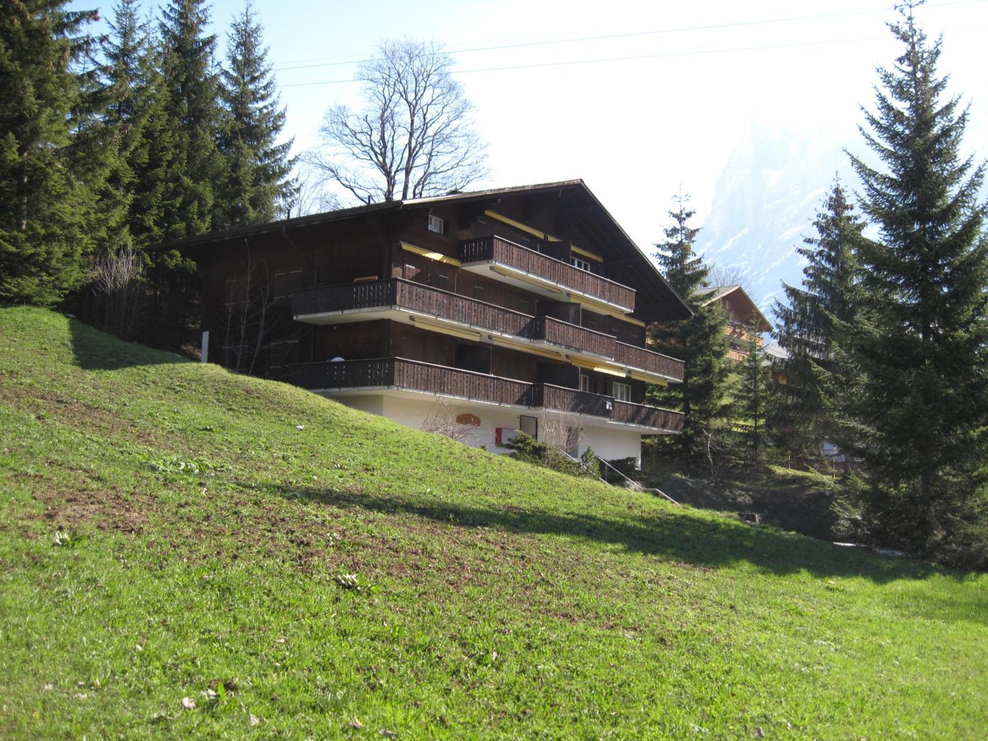 Superior Apartment 100M2 Bodmisonne - Grindelwald Exteriér fotografie