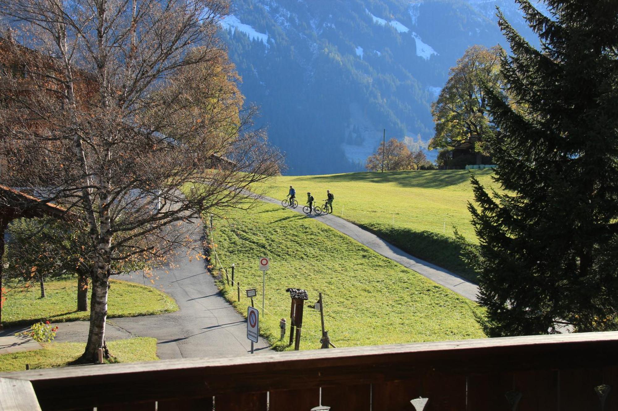 Superior Apartment 100M2 Bodmisonne - Grindelwald Exteriér fotografie
