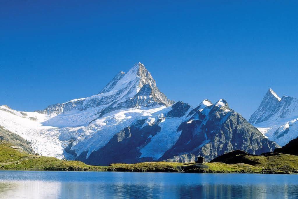 Superior Apartment 100M2 Bodmisonne - Grindelwald Exteriér fotografie